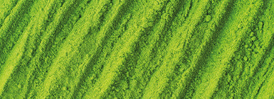 Matcha como sinónimo de bienestar físico y mental